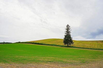おはようございます！今日は、南国の島のリゾートBGMをお届けします！